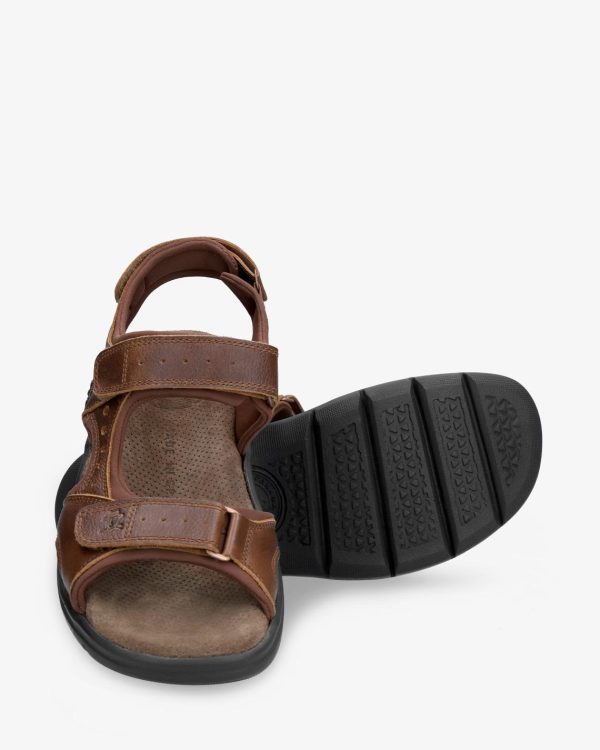 Newspee.shopbf968f01ad 3