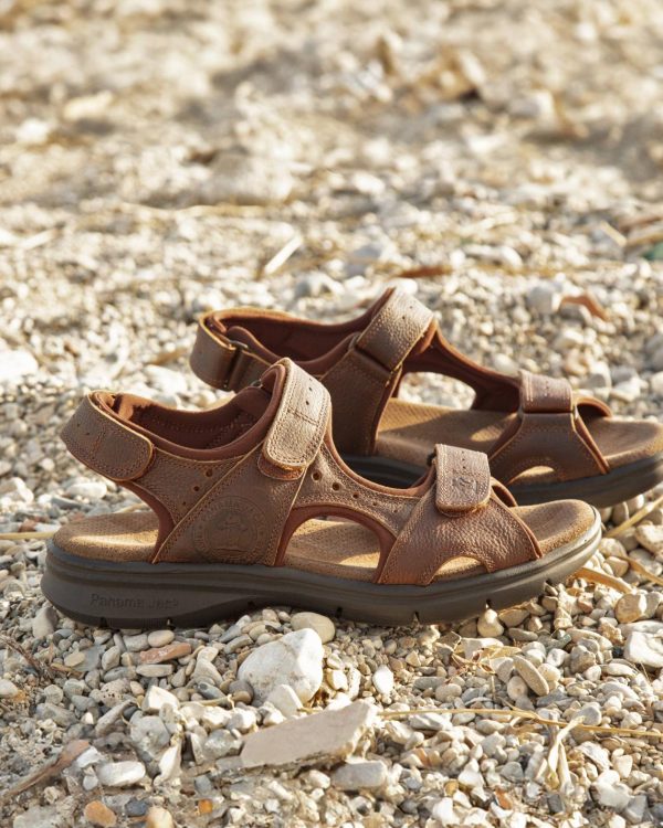 Newspee.shopbf968f01ad 4