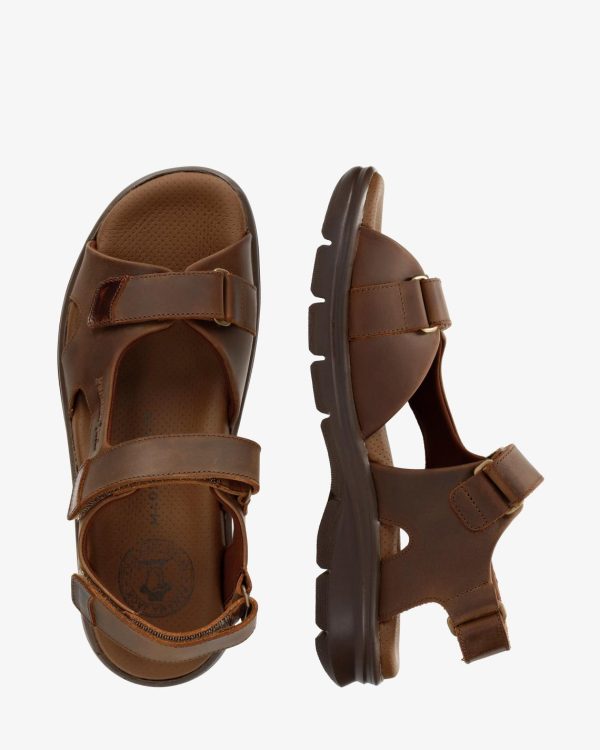 Newspee.shopc47e1a3722 1