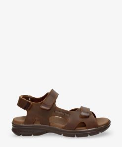 Newspee.shopc47e1a3722 2