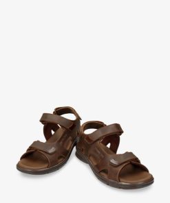 Newspee.shopc47e1a3722 3