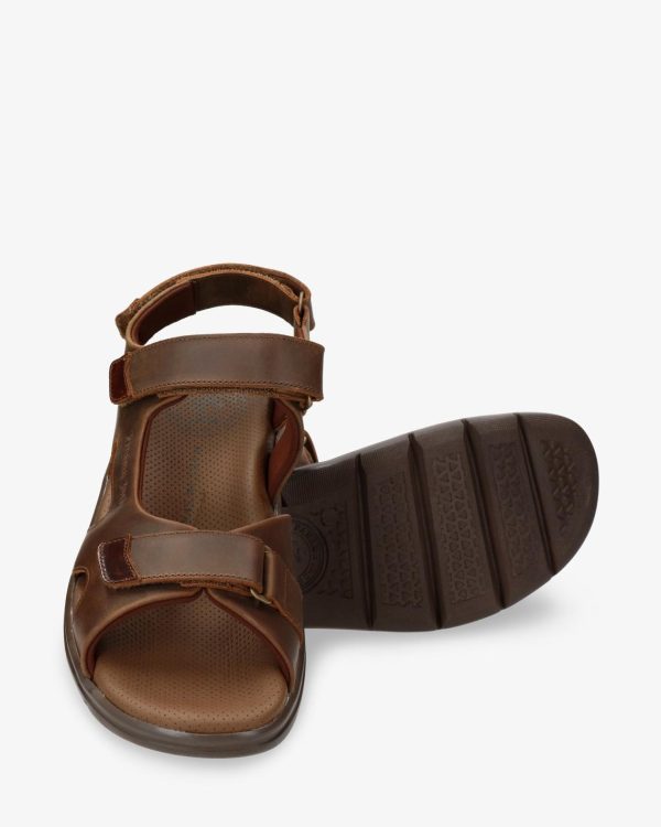 Newspee.shopc47e1a3722 4