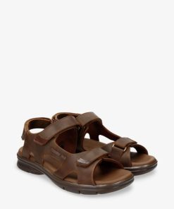 Newspee.shopc47e1a3722 5