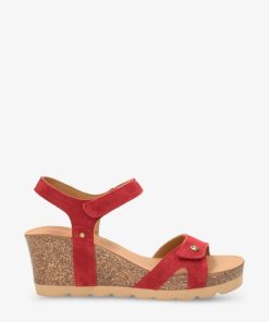 Newspee.shope1f28c1ea2 2