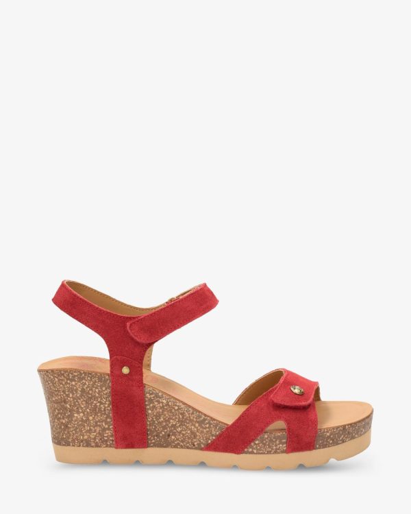 Newspee.shope1f28c1ea2 2