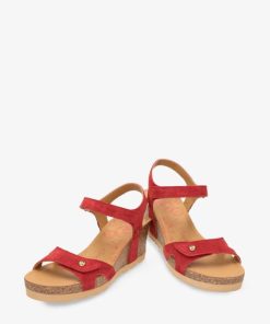 Newspee.shope1f28c1ea2 3