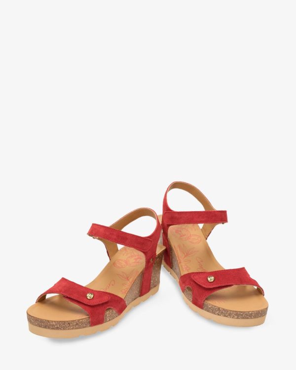 Newspee.shope1f28c1ea2 3