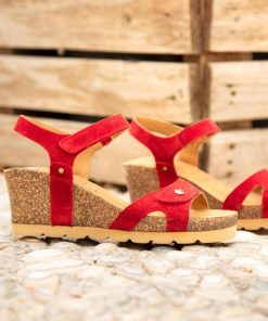 Newspee.shope1f28c1ea2 5