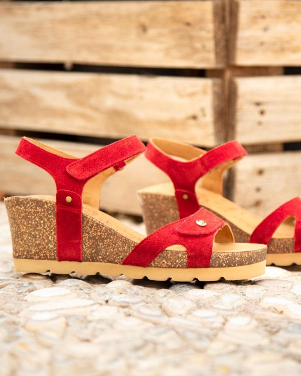 Newspee.shope1f28c1ea2 5