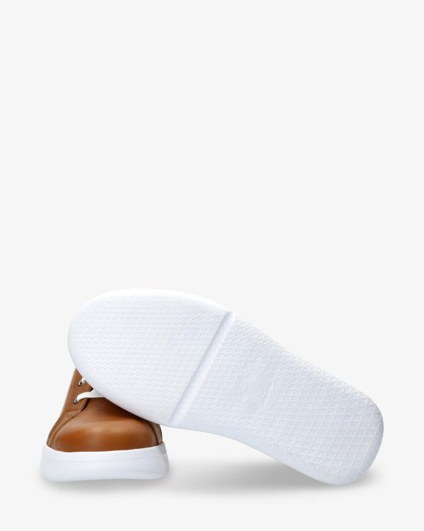 Newspee.shope281ef4a8a 4