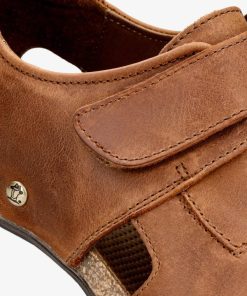 Newspee.shopeb08fb88ef 2