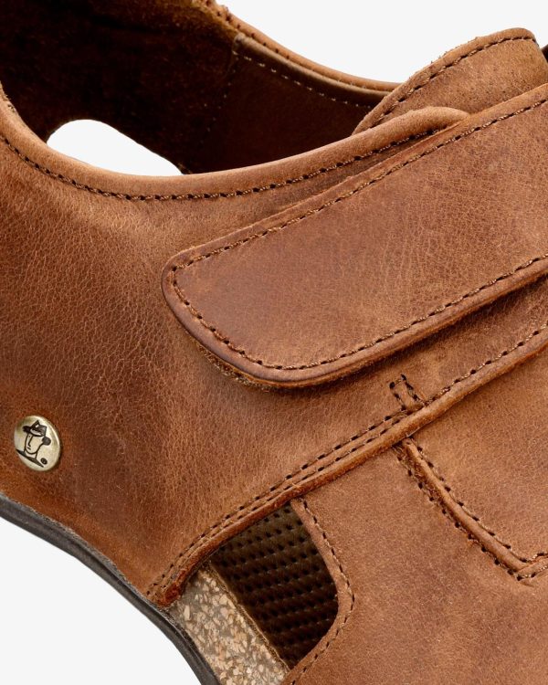 Newspee.shopeb08fb88ef 2