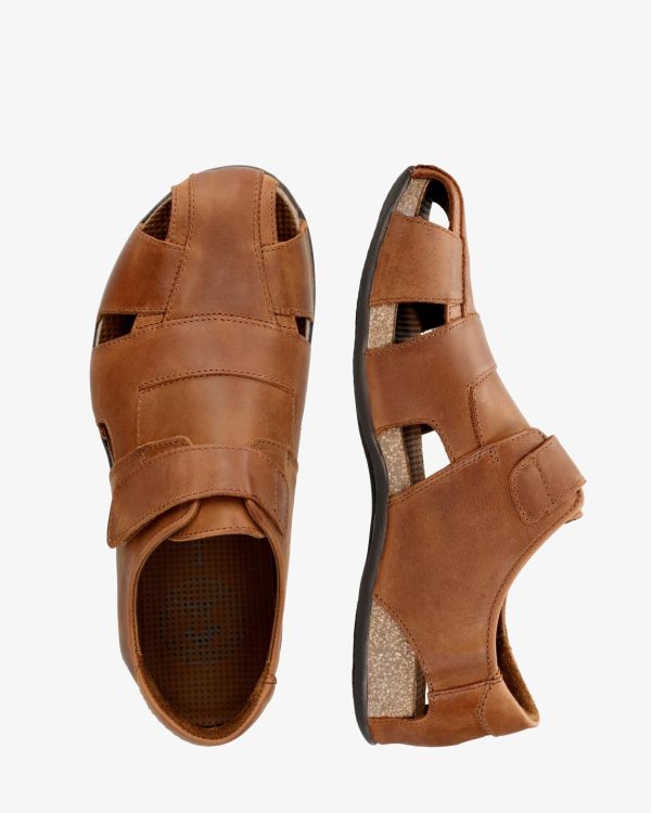 Newspee.shopeb08fb88ef 4