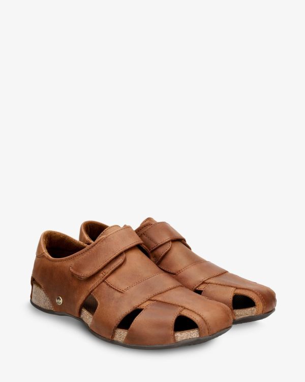 Newspee.shopeb08fb88ef 5