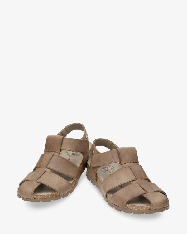 Newspee.shopf463455bf9 3