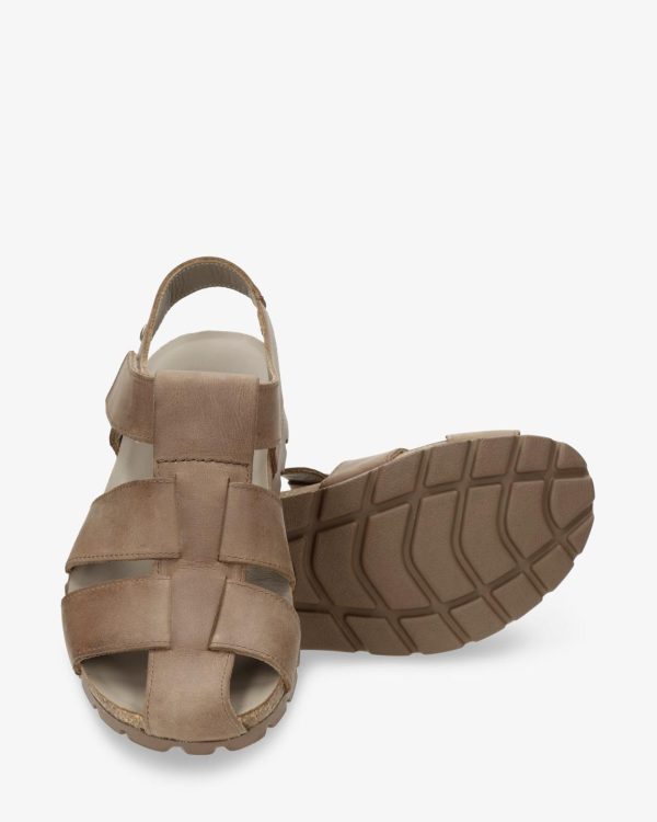 Newspee.shopf463455bf9 4