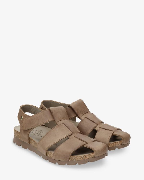 Newspee.shopf463455bf9 5