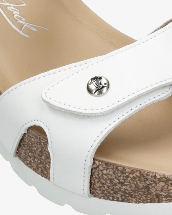 Newspee.shopf4def57061 2