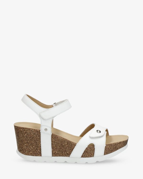 Newspee.shopf4def57061 3