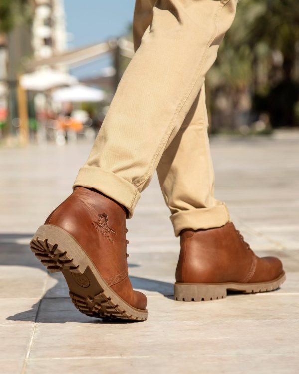 Newspee.shopfa434de2e1 2