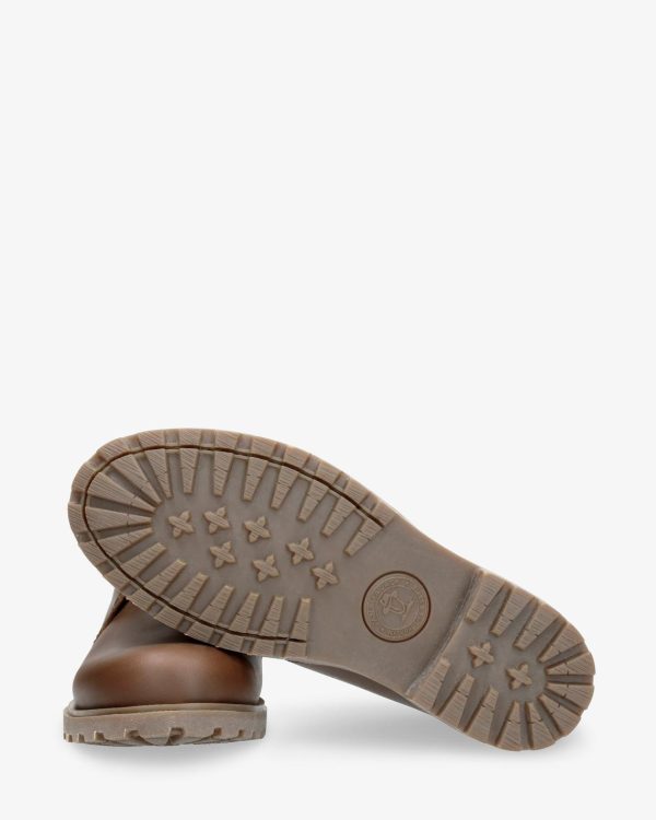 Newspee.shopfa434de2e1 4